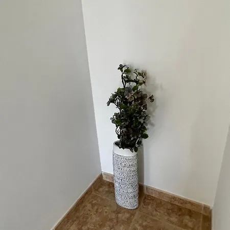 Tatil Evi Cozy Marina, Iris Fase 1, Wifi *